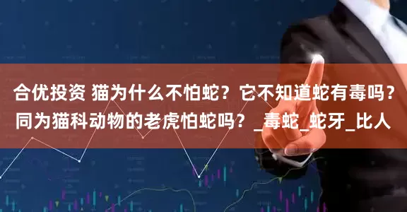 合优投资 猫为什么不怕蛇？它不知道蛇有毒吗？同为猫科动物的老虎怕蛇吗？_毒蛇_蛇牙_比人
