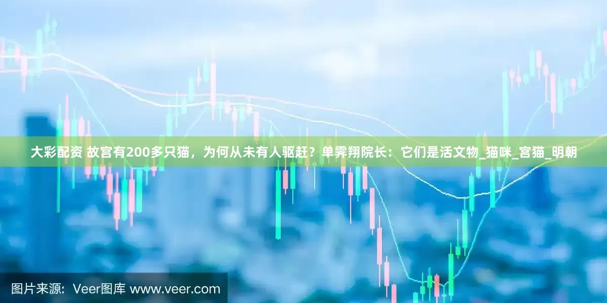 大彩配资 故宫有200多只猫，为何从未有人驱赶？单霁翔院长：它们是活文物_猫咪_宫猫_明朝