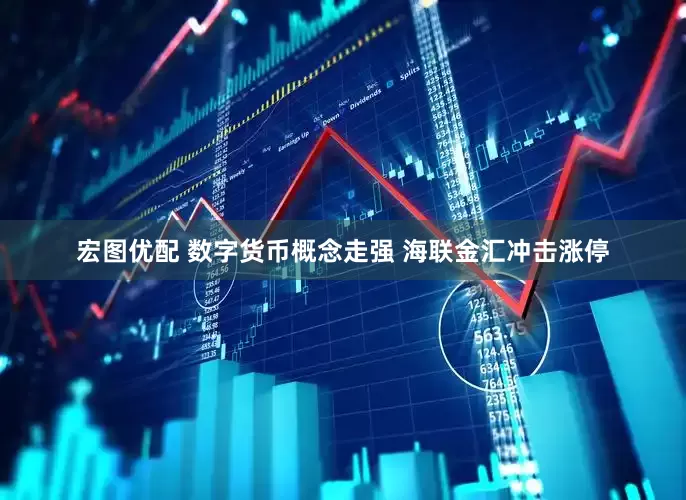 宏图优配 数字货币概念走强 海联金汇冲击涨停