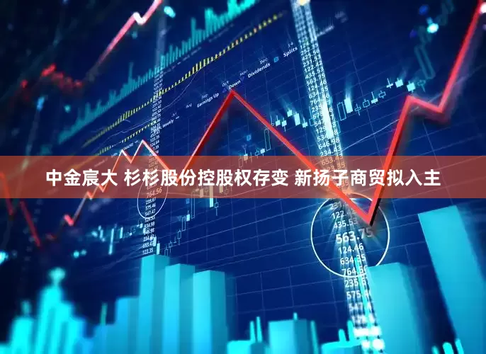 中金宸大 杉杉股份控股权存变 新扬子商贸拟入主