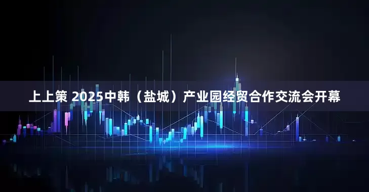 上上策 2025中韩（盐城）产业园经贸合作交流会开幕