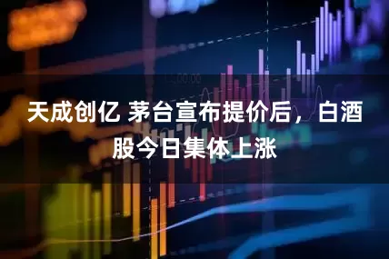 天成创亿 茅台宣布提价后，白酒股今日集体上涨